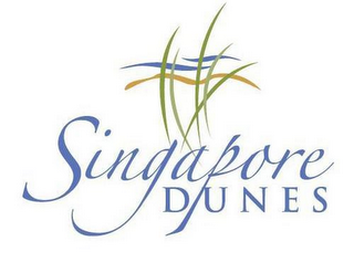 SINGAPORE DUNES logo