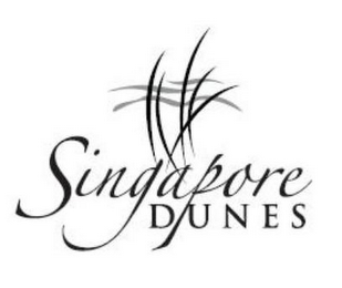 SINGAPORE DUNES logo