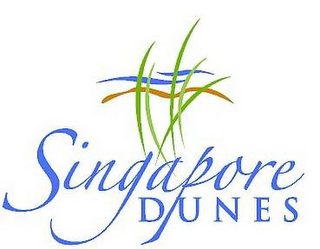 SINGAPORE DUNES logo