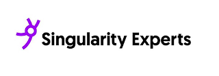 SINGULARITY EXPERTS logo