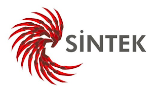 SINTEK logo