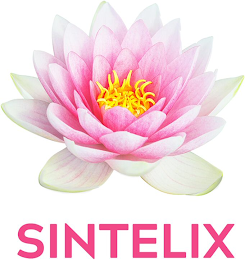 SINTELIX logo