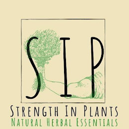 SIP STRENGTH IN PLANTS NATURAL HERBAL ESSENTIALS logo
