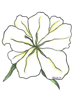 SIRA B.OT logo