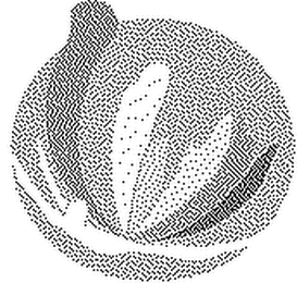 SIRRI-SENSORY INTEGRATION RESEARCH AND REHABILITATION INSTITUTE logo