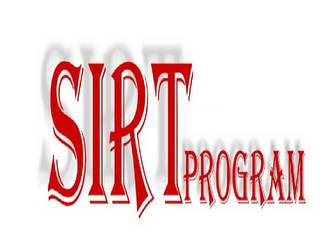 SIRT PROGRAM logo