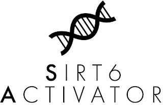 SIRT6 ACTIVATOR logo