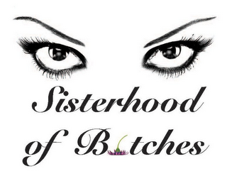 SISTERHOOD OF BITCHES logo