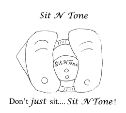SIT N TONE SIT N TONE DON'T JUST SIT...SIT N TONE! logo