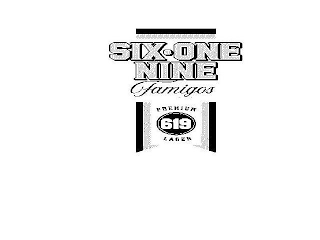 SIX ONE NINE FAMIGOS BEER PREMIUM 619 LAGER logo