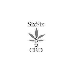 SIXSIX 66 CBD logo