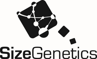 SIZEGENETICS logo
