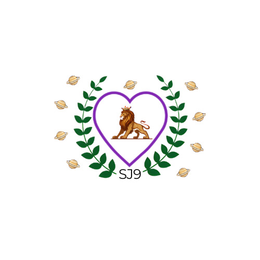 SJ9 logo