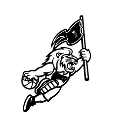 SK KINGS logo