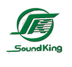 SK SOUNDKING logo