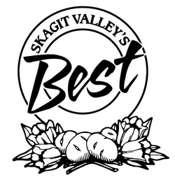 SKAGIT VALLEY'S BEST logo