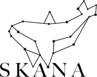 SKANA logo