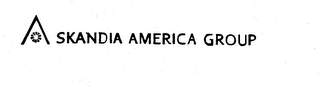 SKANDIA AMERICA GROUP logo