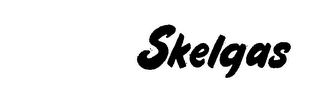 SKELGAS logo