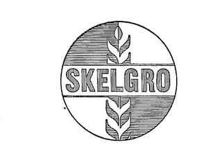 SKELGRO logo