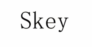 SKEY logo