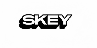 SKEY logo