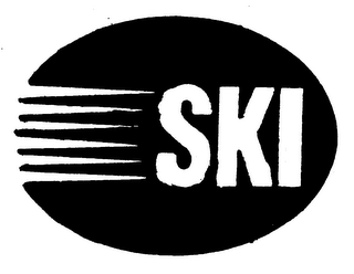 SKI logo
