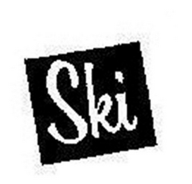 SKI logo