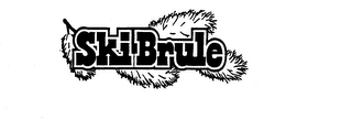 SKI-BRULE logo