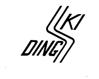 SKI DINGS logo