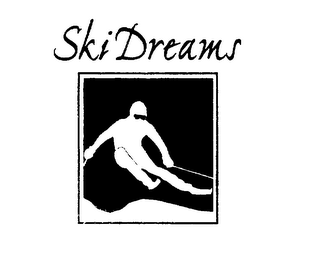 SKI DREAMS logo