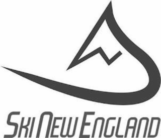 SKI NEW ENGLAND logo
