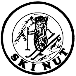 SKI NUT logo