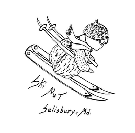 SKI NUT SALISBURY, MD. logo