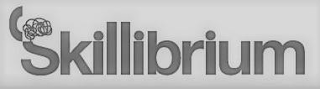 SKILLIBRIUM logo