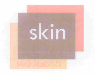 SKIN logo