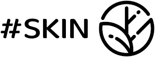 #SKIN logo