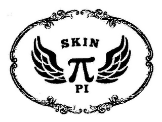 SKIN PI logo