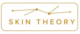 SKIN THEORY logo