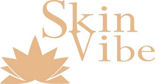 SKIN VIBE logo