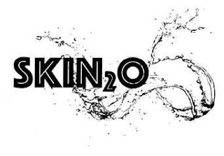 SKIN2O logo