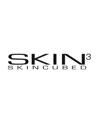 SKIN3 CUBED logo