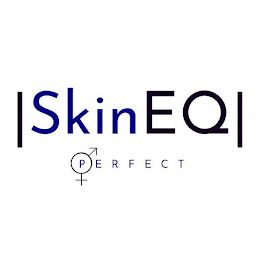 SKINEQ PERFECT logo