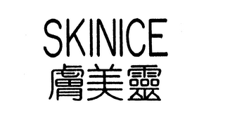 SKINICE logo