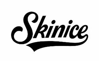 SKINICE logo