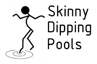 SKINNY DIPPING POOLS logo