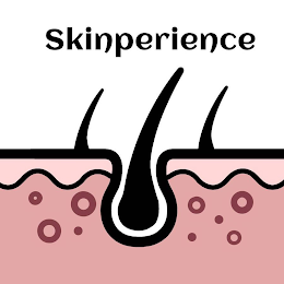 SKINPERIENCE logo