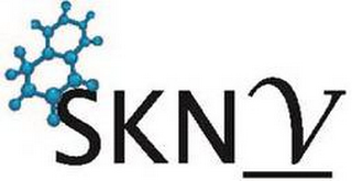 SKNV logo