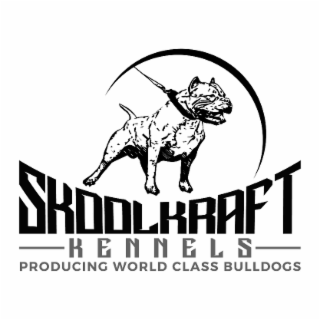 SKOOLKRAFT KENNELS PRODUCING WORLD CLASS BULLDOGS logo