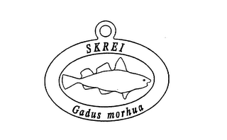 SKREI GADUS MORHUA logo
